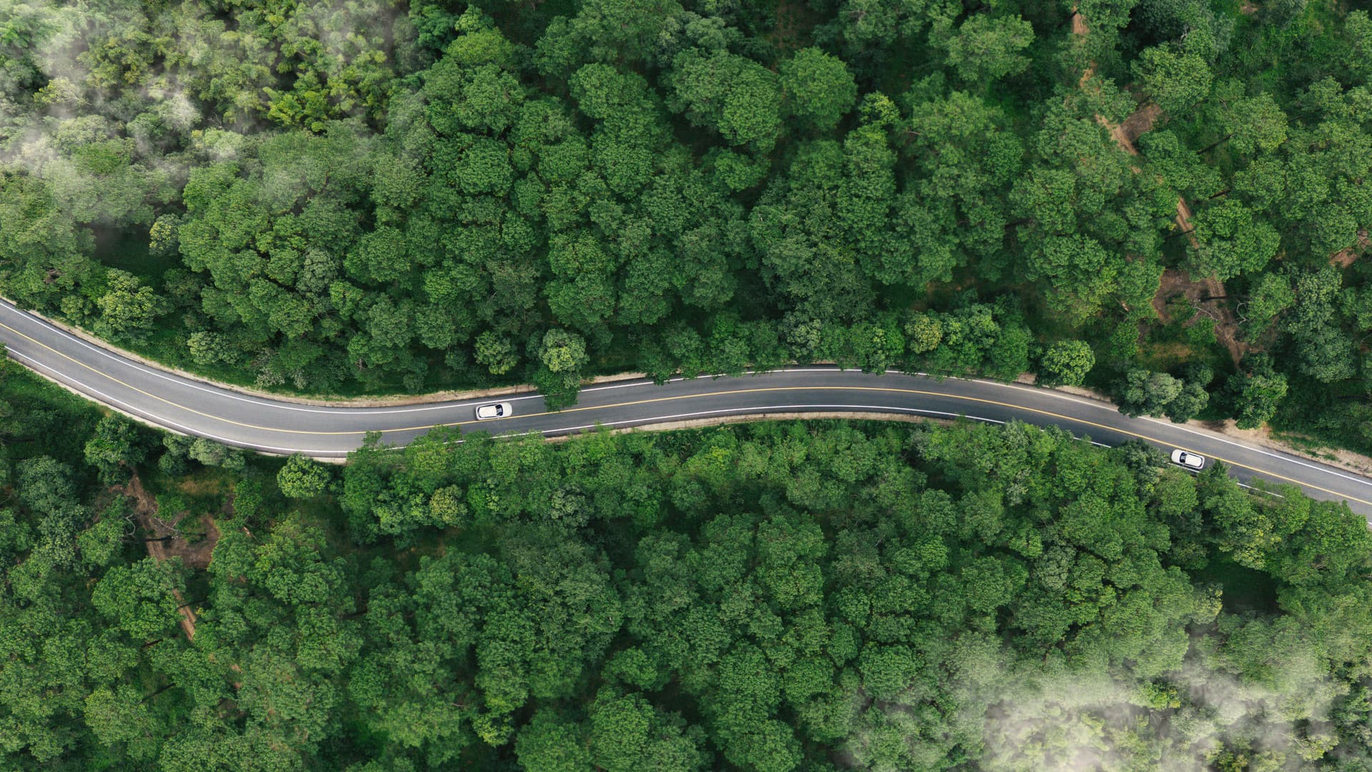 Lower Your Fleet's Carbon Footprint
