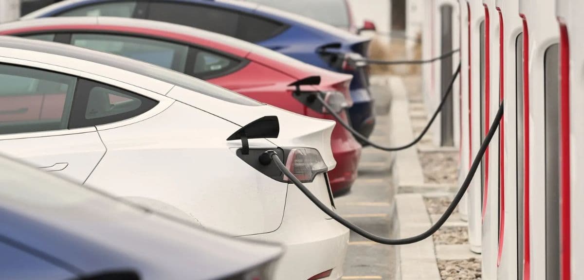 Elektrofahrzeuge: die Zukunft des nachhaltigen Flottenmanagements