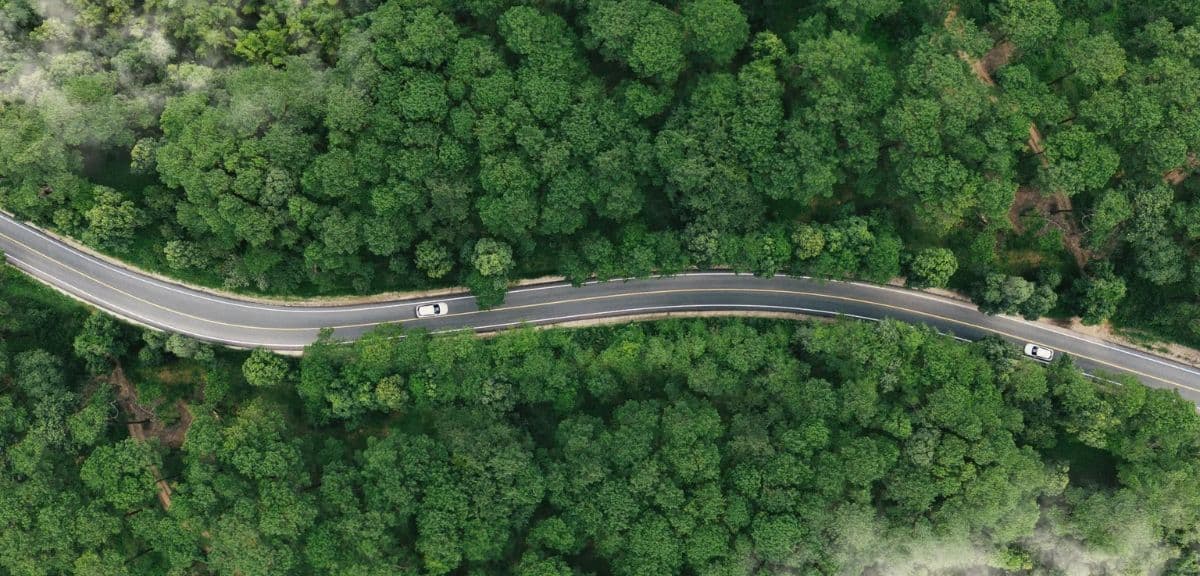 Nachhaltiges Fuhrparkmanagement: wie man grün wird (und warum)